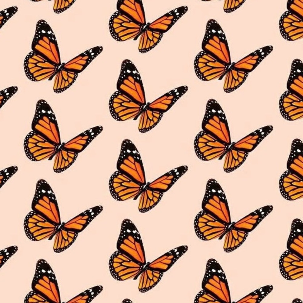 Meet your Posher, Sierra